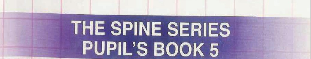 Spine 5 Image