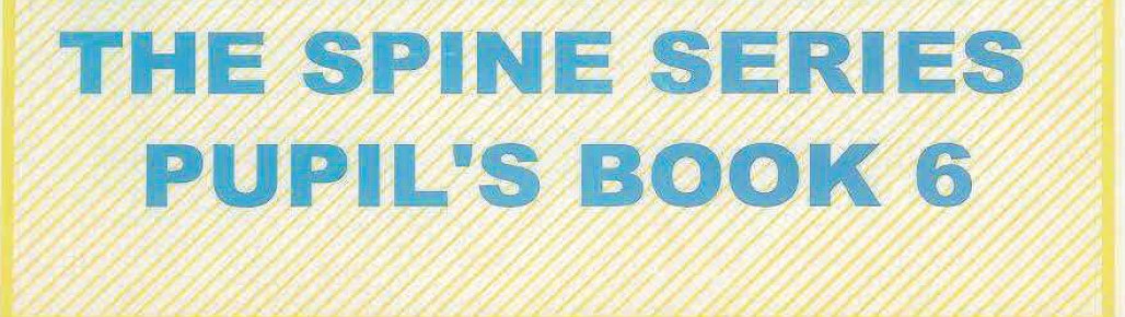 Spine 6 Image